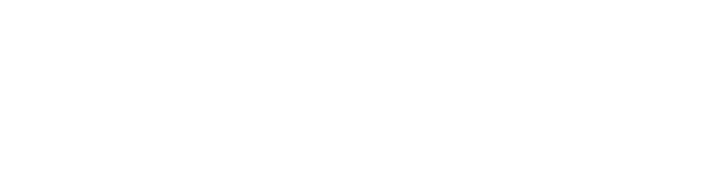 Ludwig van Toronto